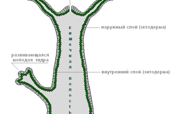 Кракен онион рабочая ссылка